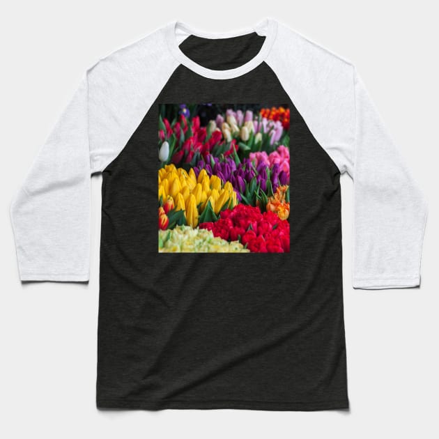 Rainbow Tulips Baseball T-Shirt by NewburyBoutique